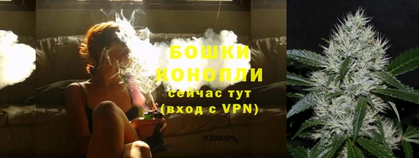 прущие грибы Карталы