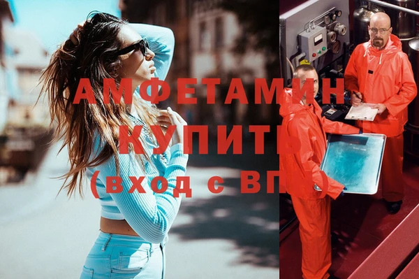прущие грибы Карталы